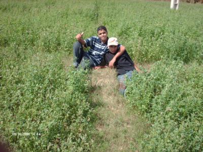 moi et mon pote